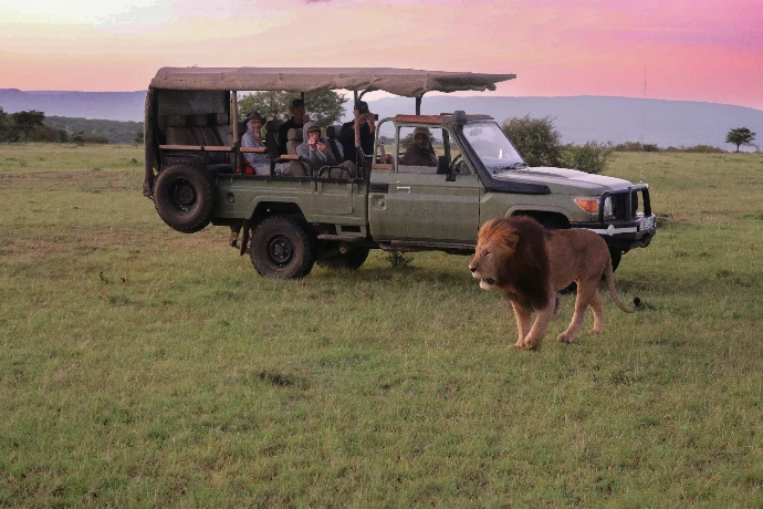 a group of people riding in the back of a truck